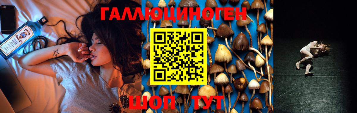 Абакан  Галлюциногенные грибы MAGIC MUSHROOMS  Вход с VPN 