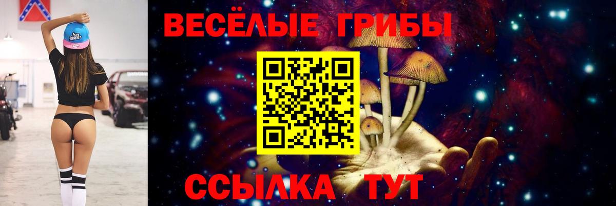 Галлюциногенные грибы мицелий Абакан